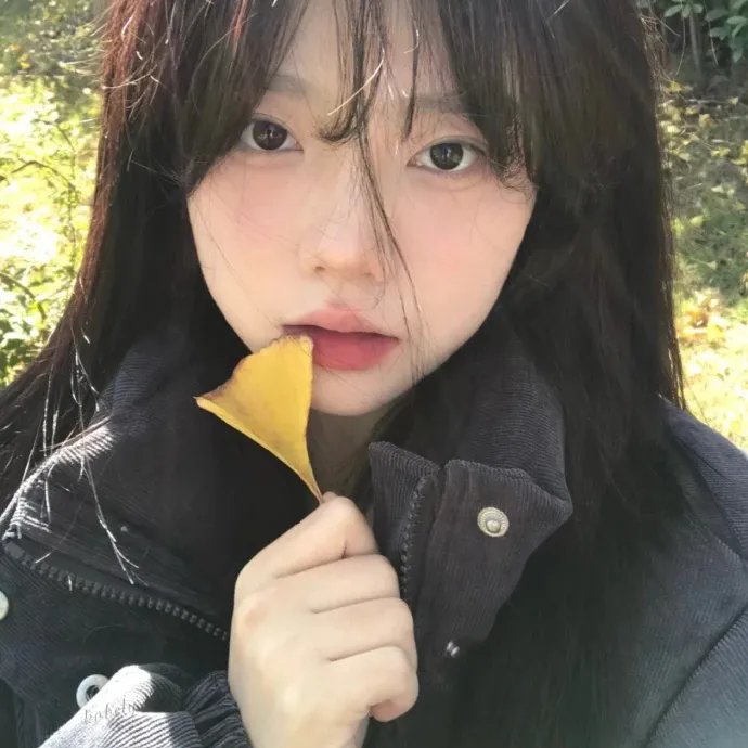 北冥有鲲