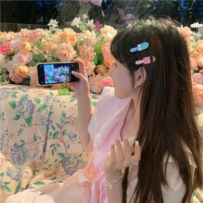 惹不起的宫主大人